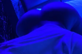 🦊 TRANSGENDER FEMALE 🦊 - Image 2